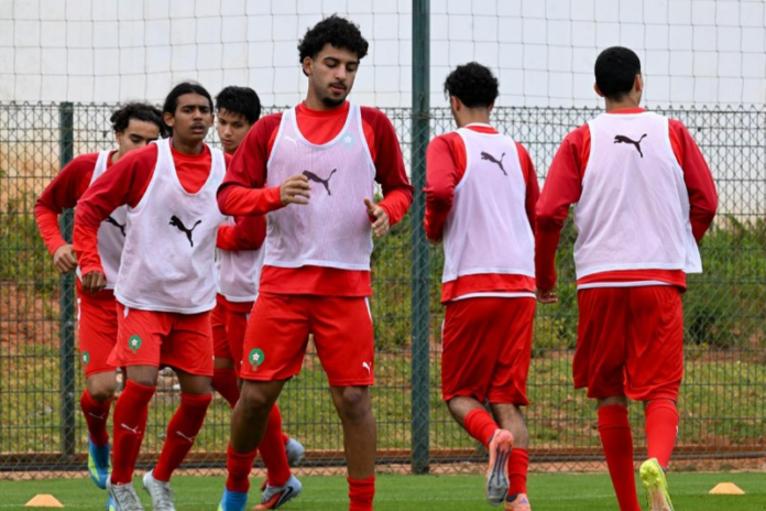 Lionceaux U17