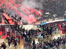 Botola